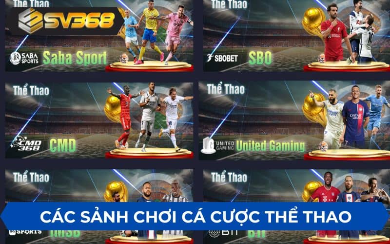 SV368 cung cấp 6 sảnh chơi cá cược thể thao SV368 cung cấp 6 sảnh chơi cá cược thể thao