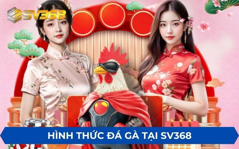 Các hình thức đá gà khi tham gia chơi tại SV368 Các hình thức đá gà khi tham gia chơi tại SV368